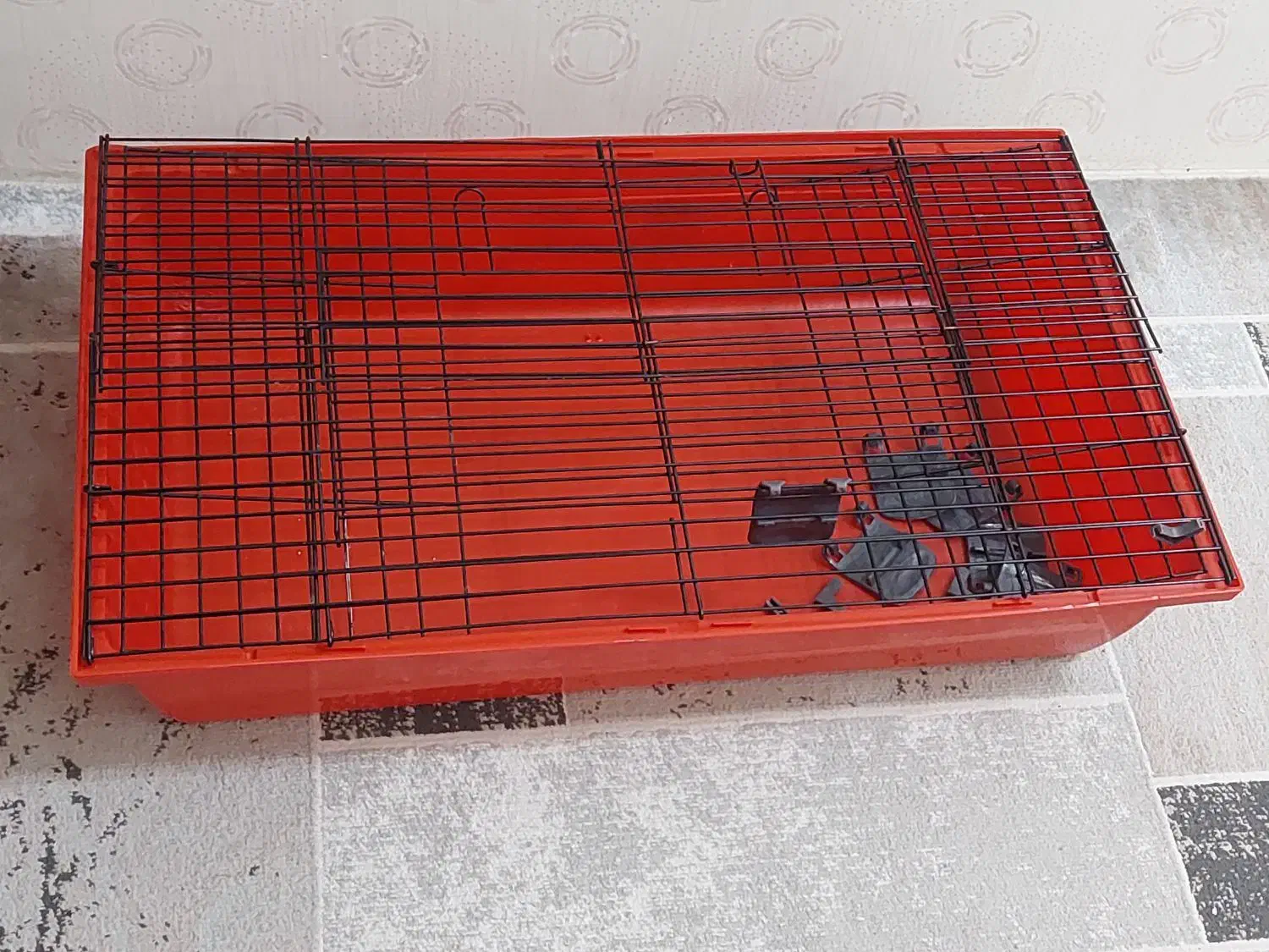 قفس خرگوش و خوکچه|موش و خرگوش|ری, علایین|دیوار