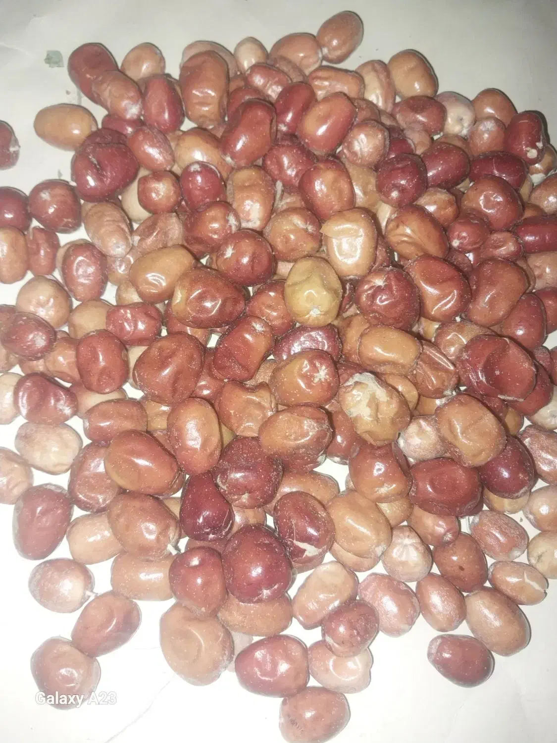 سنجد تازه|خوردنی و آشامیدنی|شاهین دژ, |دیوار
