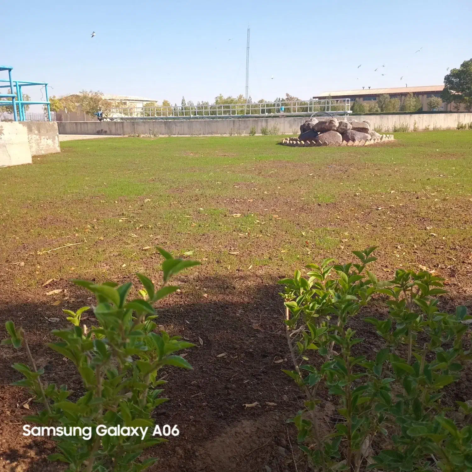 انجام کلیه امور باغبانی|خدمات باغبانی و درختکاری|اراک, |دیوار