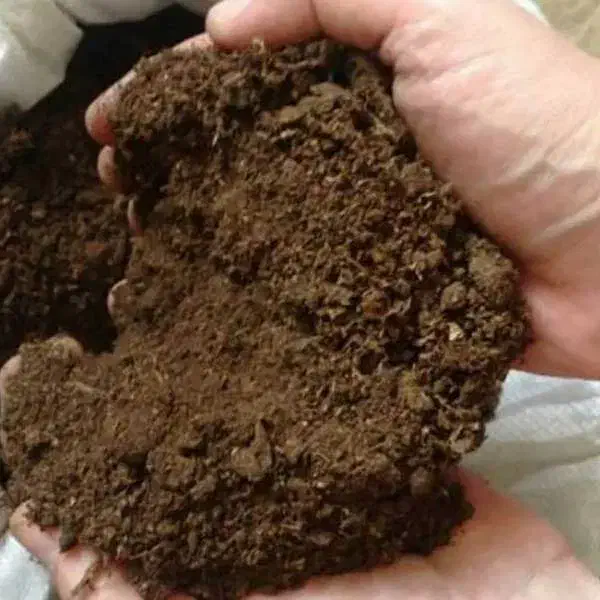 دو نیسان خاک گوسفند|لوازم جانبی حیوانات|گناباد, |دیوار