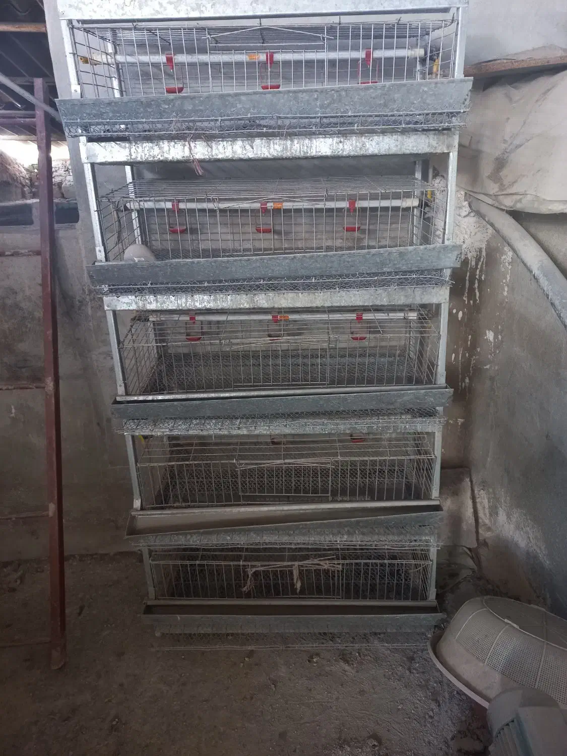 قفسه بلدرچین|لوازم جانبی حیوانات|کردکوی, |دیوار