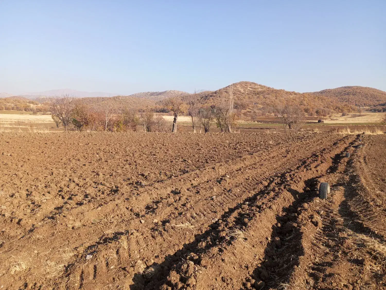 ۱۰۰۰متر مربع زمین کشاورزی کال|فروش زمین و ملک کلنگی|مریوان, |دیوار