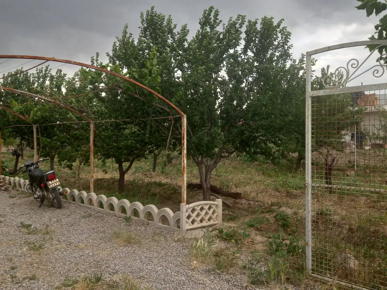 فروش باغ 1500متری در اراضی جواش|فروش دفتر صنعتی، کشاورزی، تجاری|مرند, |دیوار