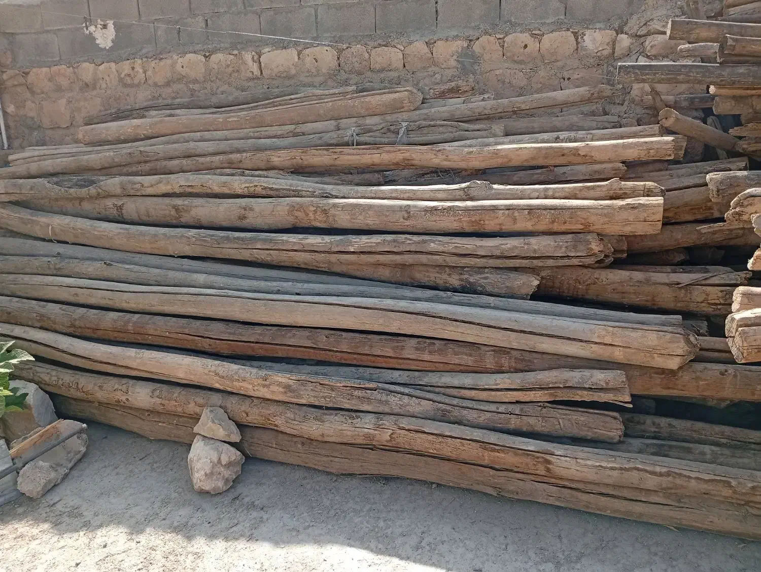 خریدار چوب سقفی|خدمات باغبانی و درختکاری|کوهدشت, |دیوار