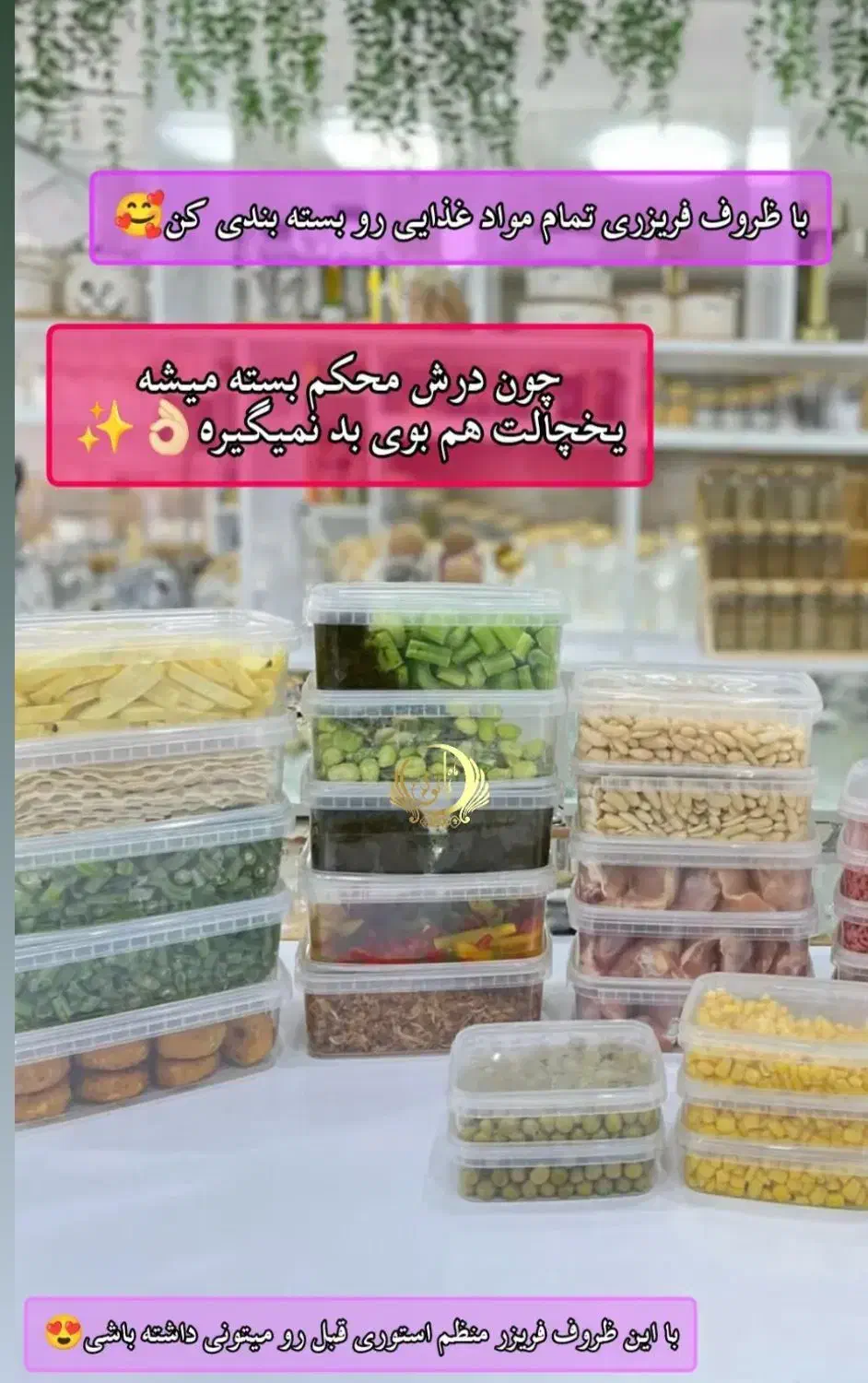 ظرف پلاستیکی دردوسایز|ظروف نگهدارنده، پلاستیکی، یک‌بارمصرف|بومهن, |دیوار