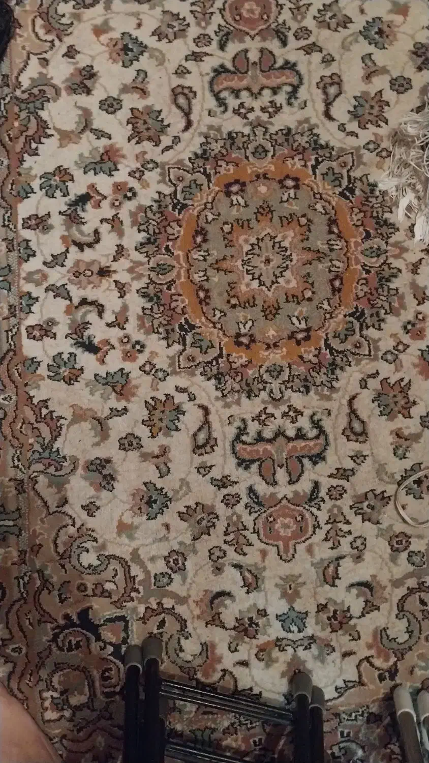 دو تخته فرش|فرش|گلبهار, شهر جدید گلبهار|دیوار