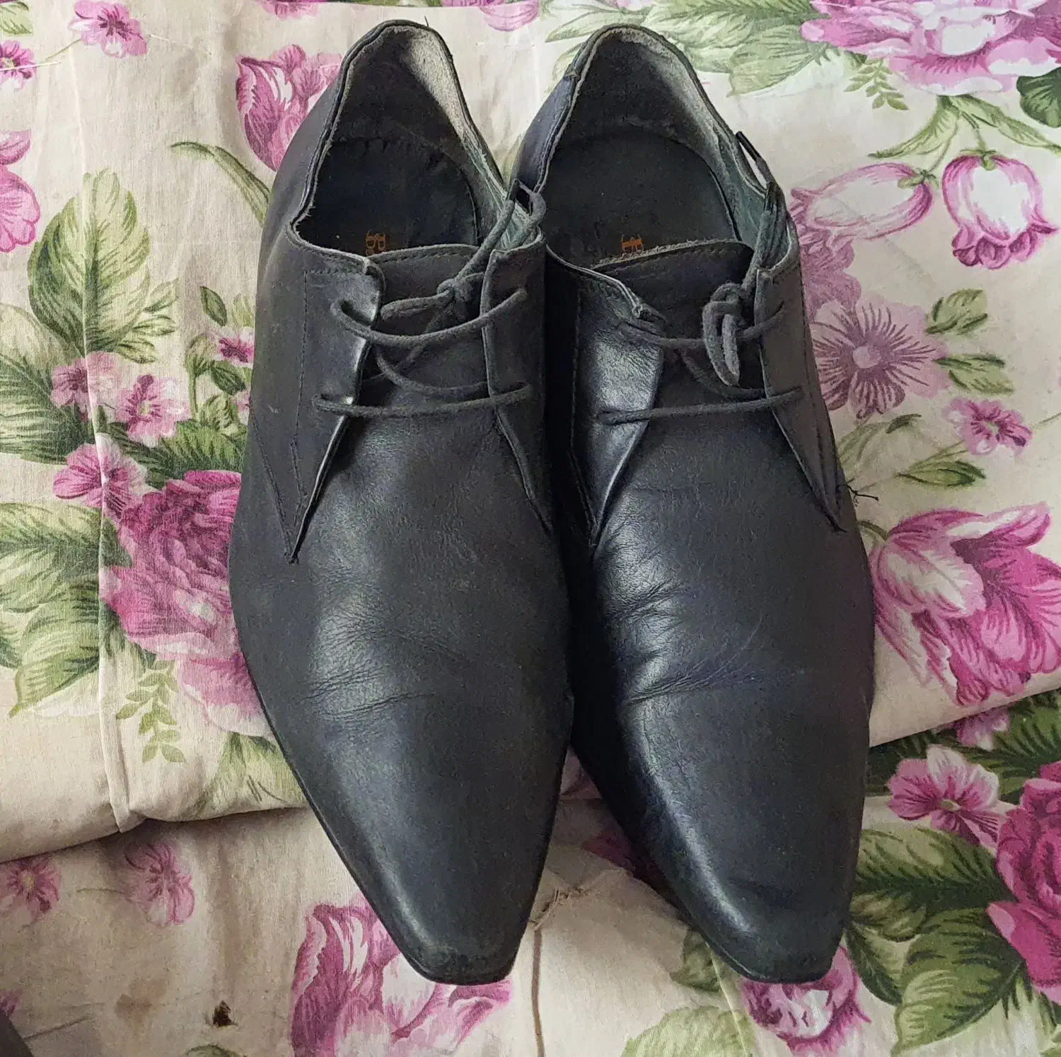 کفش کاپشن و.|لباس|کرمانشاه, |دیوار