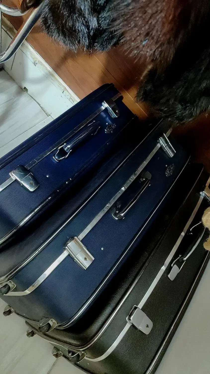 چمدان نوستالژی|کیف، کفش، کمربند|تکاب, |دیوار