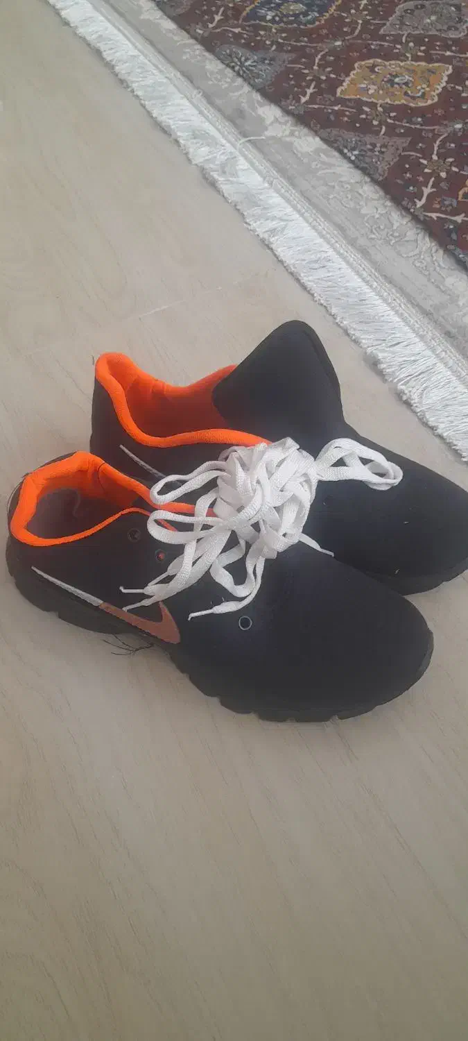 کتانی|کیف، کفش، کمربند|قشم, |دیوار