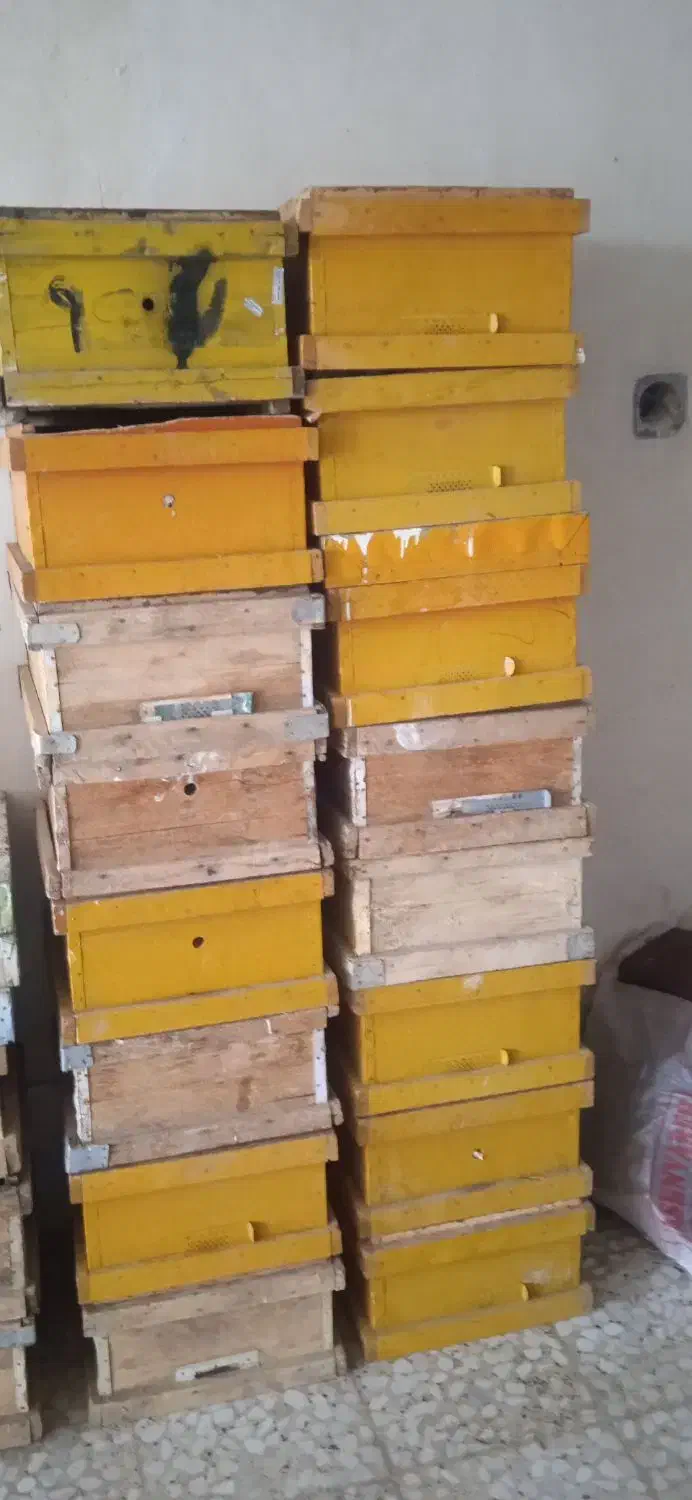 کندو زنبور|لوازم جانبی حیوانات|خرم‌آباد, |دیوار