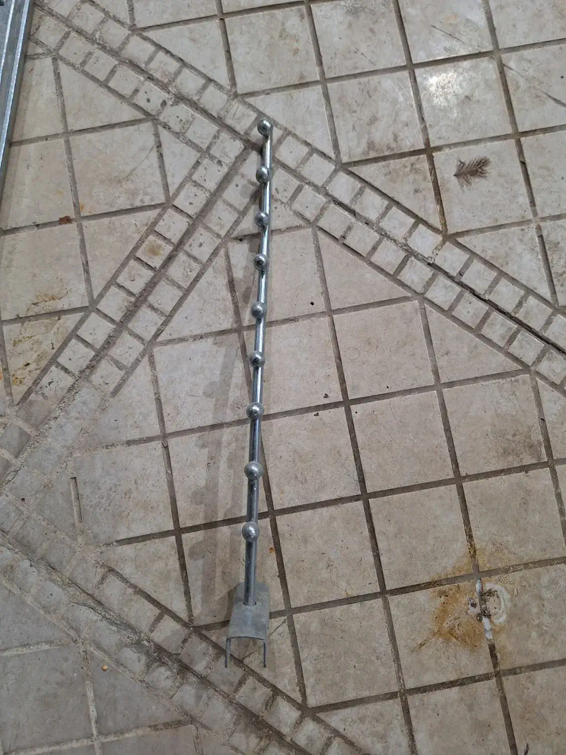 رگال سالم تعداد محدود|فروشگاه و مغازه|مشهد, شهید قربانی|دیوار