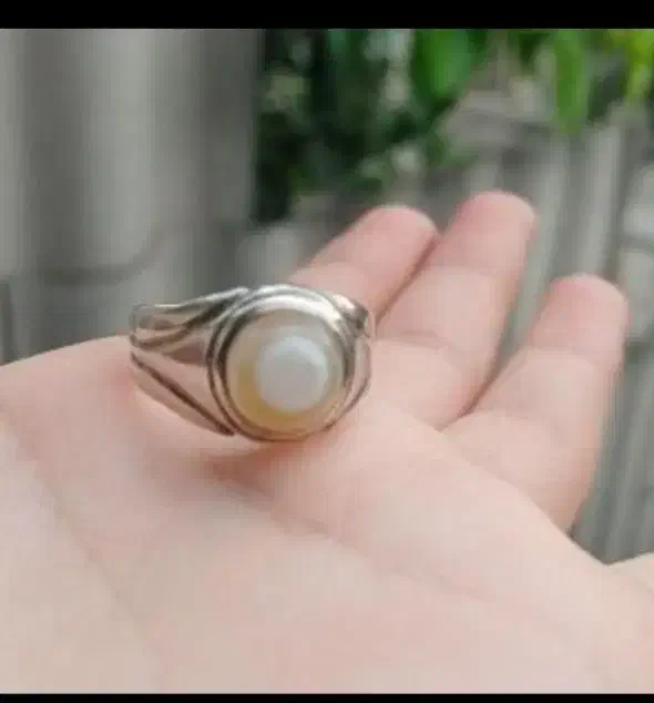 انگشترباباقوری نقره معاوضه قناری نر یا جوجه گرنچیک|جواهرات|گرگان, |دیوار