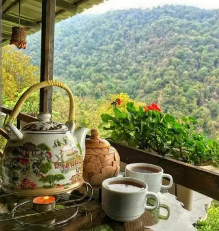 حال بهتر (راهنمایی میکنم )|فعالیت داوطلبانه|مشهد, شریف|دیوار