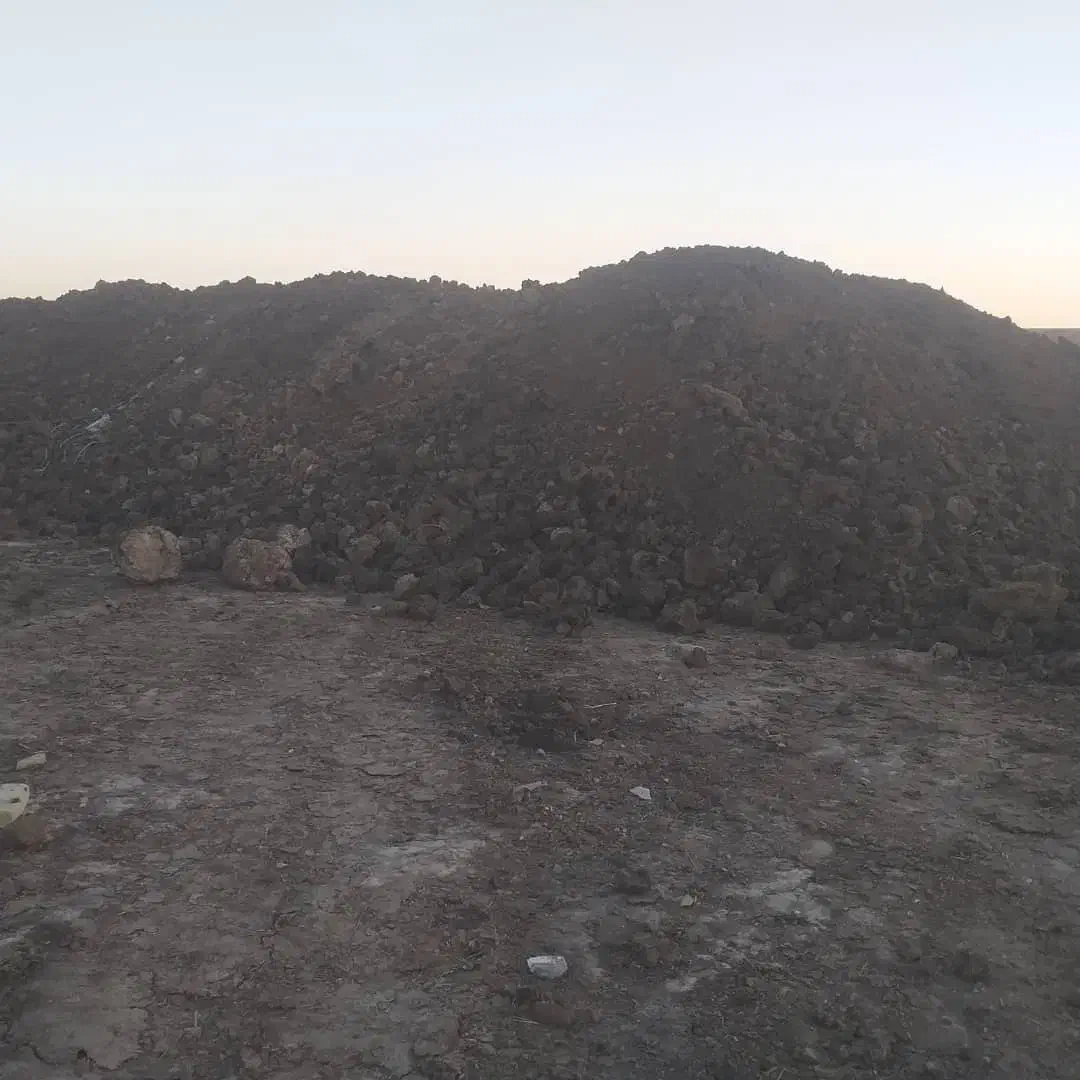 کود حیوانی گاوی خالص|خدمات باغبانی و درختکاری|فامنین, |دیوار