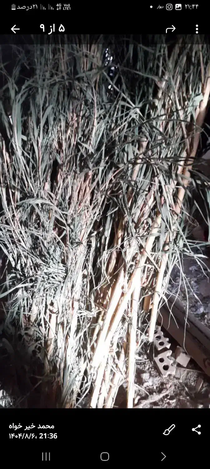 فروش نی هفت بند قطر خوب|سازهای سنتی|کاشان, راه آهن کاشان|دیوار