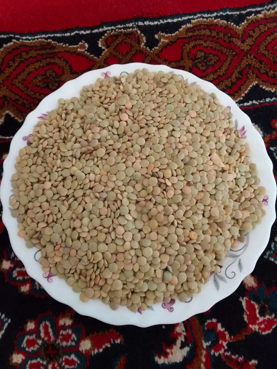 عدس|گل و گیاه طبیعی|قیدار, |دیوار