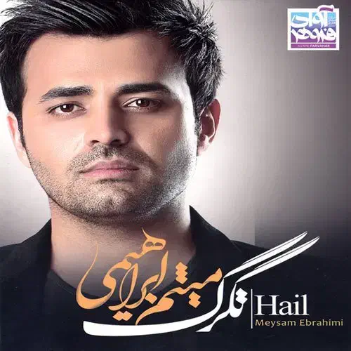 فروش بلیت کنسرت میثم ابراهیمی|بلیت کنسرت|شیراز, کلاهدوز|دیوار