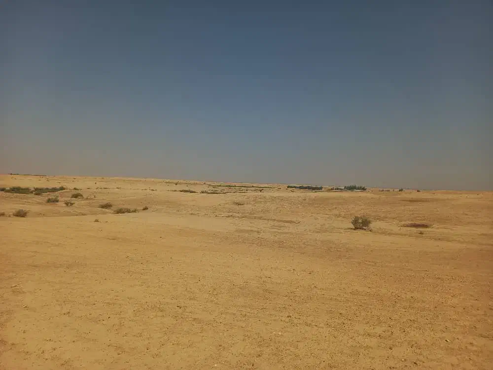 زمینهای کشاورزی نرسیدهدب شهرک بختیاری|فروش دفتر صنعتی، کشاورزی، تجاری|شوش, |دیوار