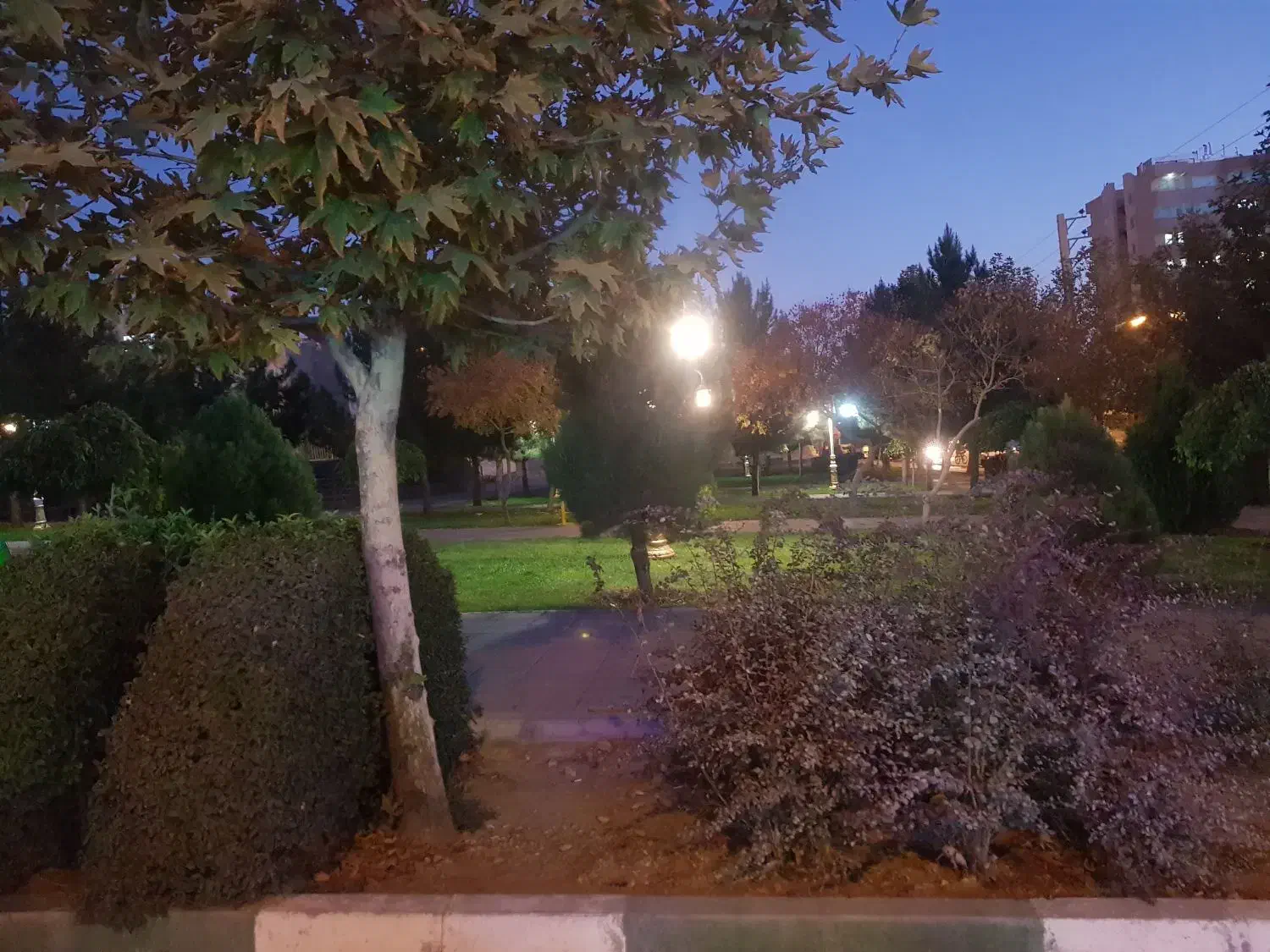 اجاره واحد شخصی ساز یک واحد از ۳ واحد|اجارهٔ آپارتمان|زنجان, |دیوار