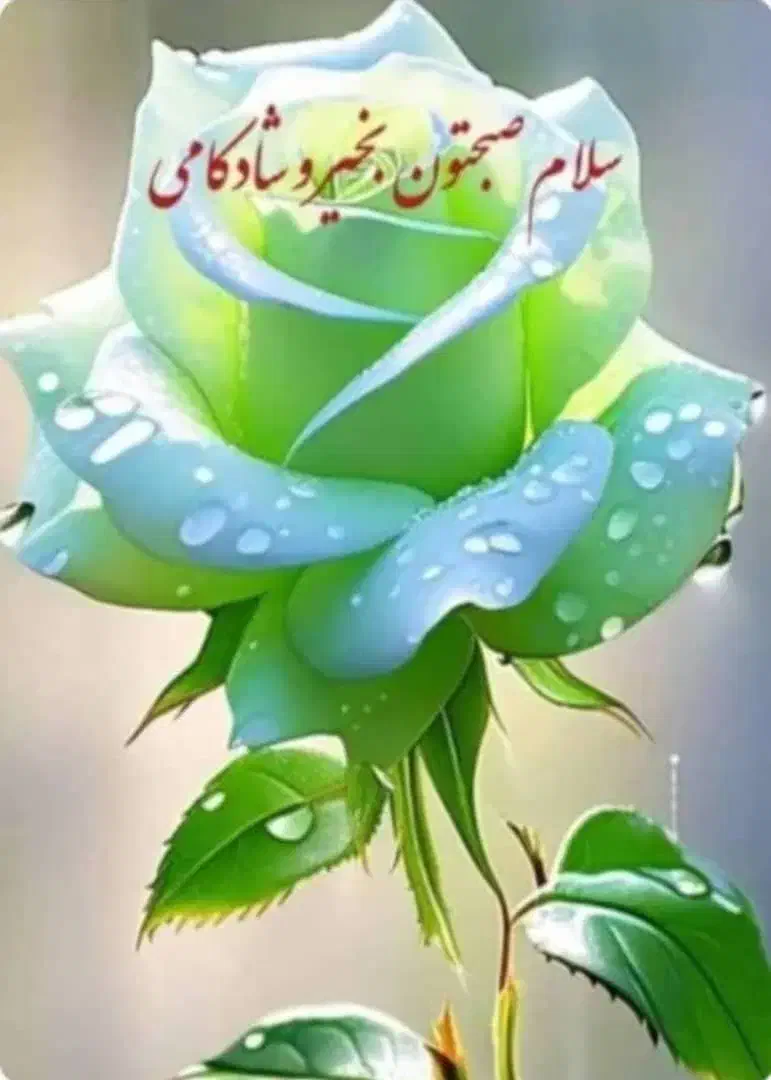 نظافتچی ماهر|خدمات نظافت|کرج, کوی امامیه|دیوار