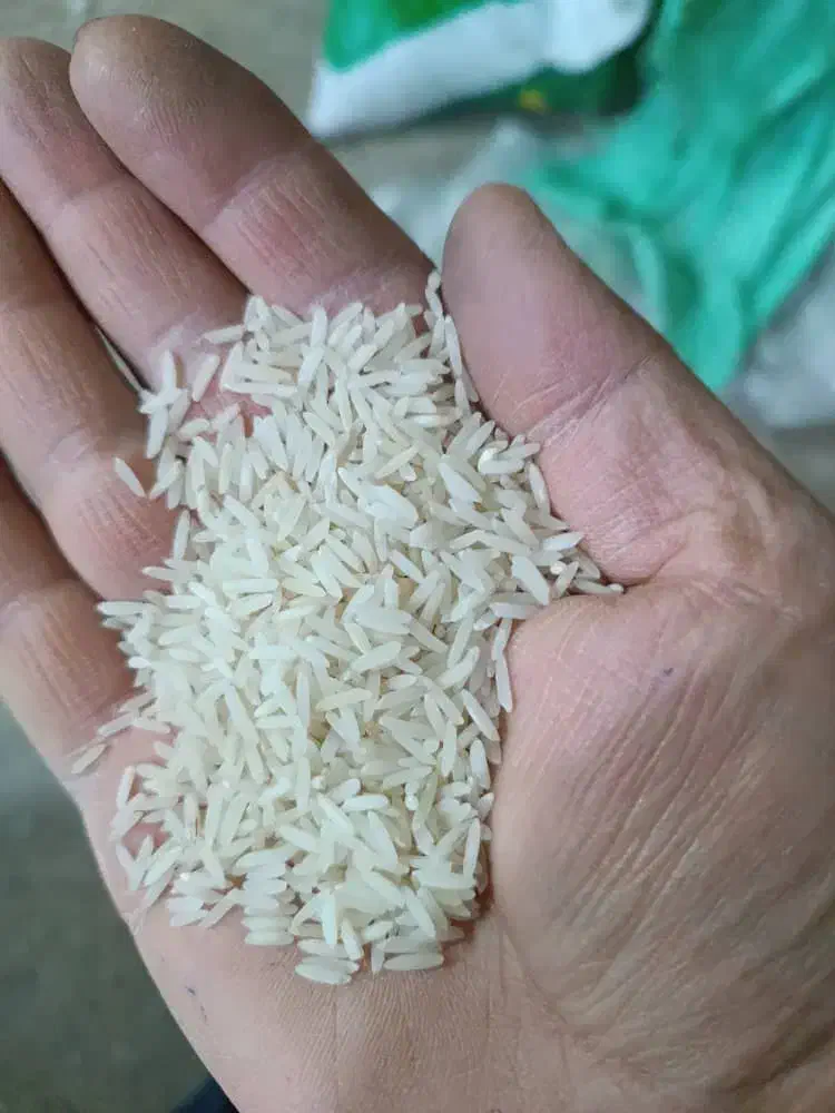 برنج ایرانی قیمت مناسب|خوردنی و آشامیدنی|مشکیندشت, |دیوار