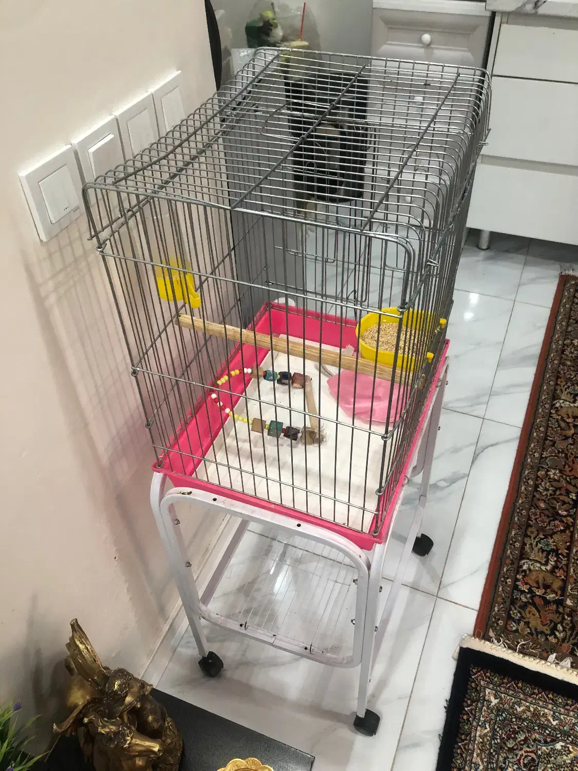 قفس عروس هلندی|لوازم جانبی حیوانات|تهران, خاک سفید|دیوار
