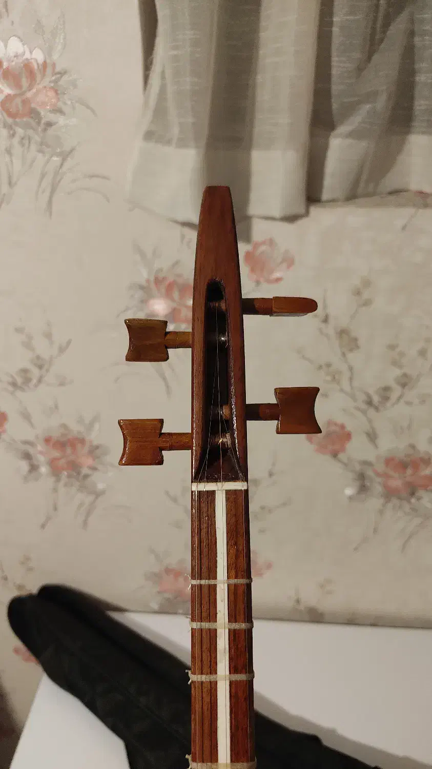 سه تار عظیمی پنجه قنبری|سازهای سنتی|تهران, فلسطین (میدان انقلاب)|دیوار