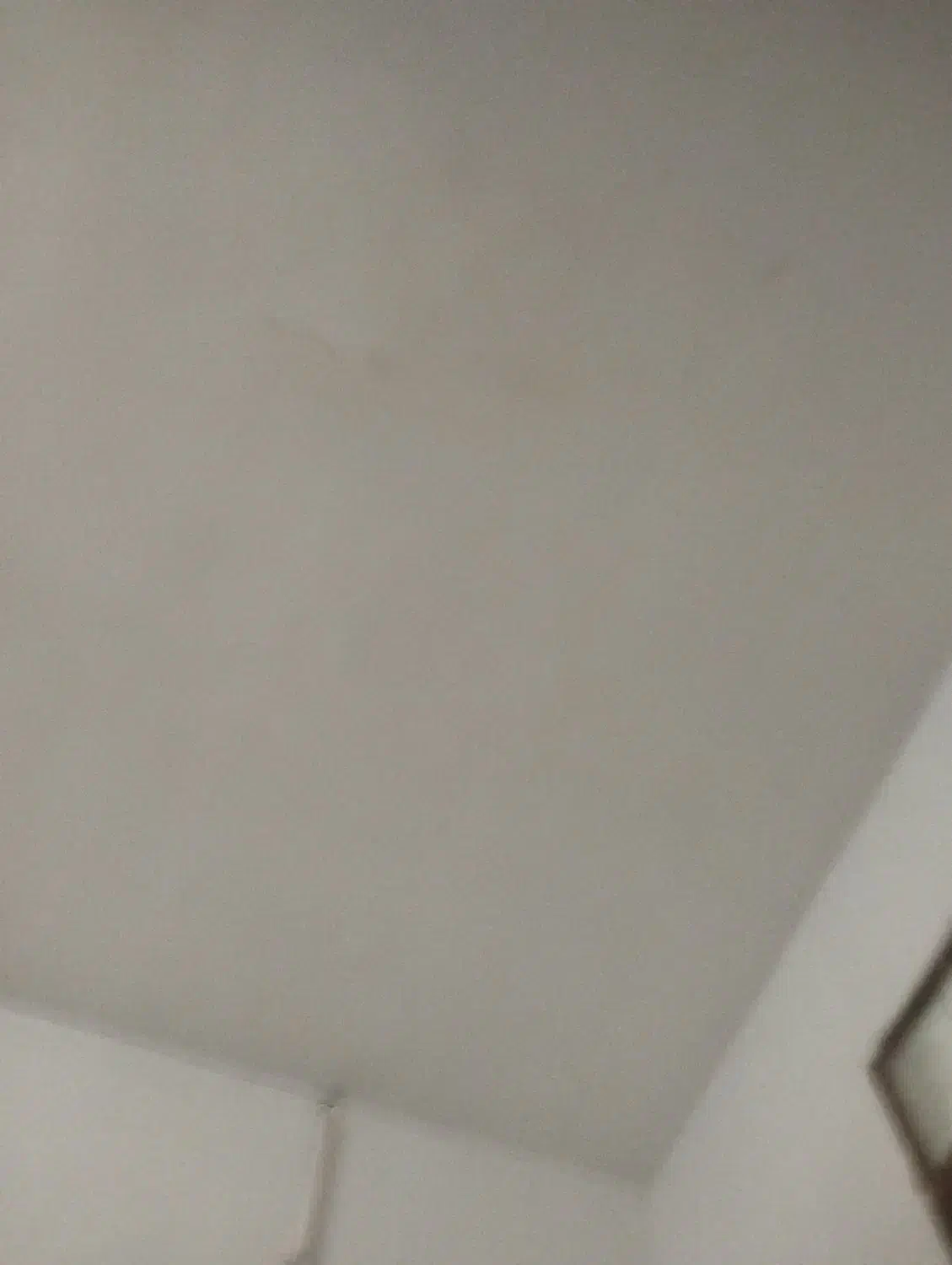 مسافراززاهدان زهک وزابل به مشهدوبالعکس|خدمات حمل و نقل|زهک, |دیوار