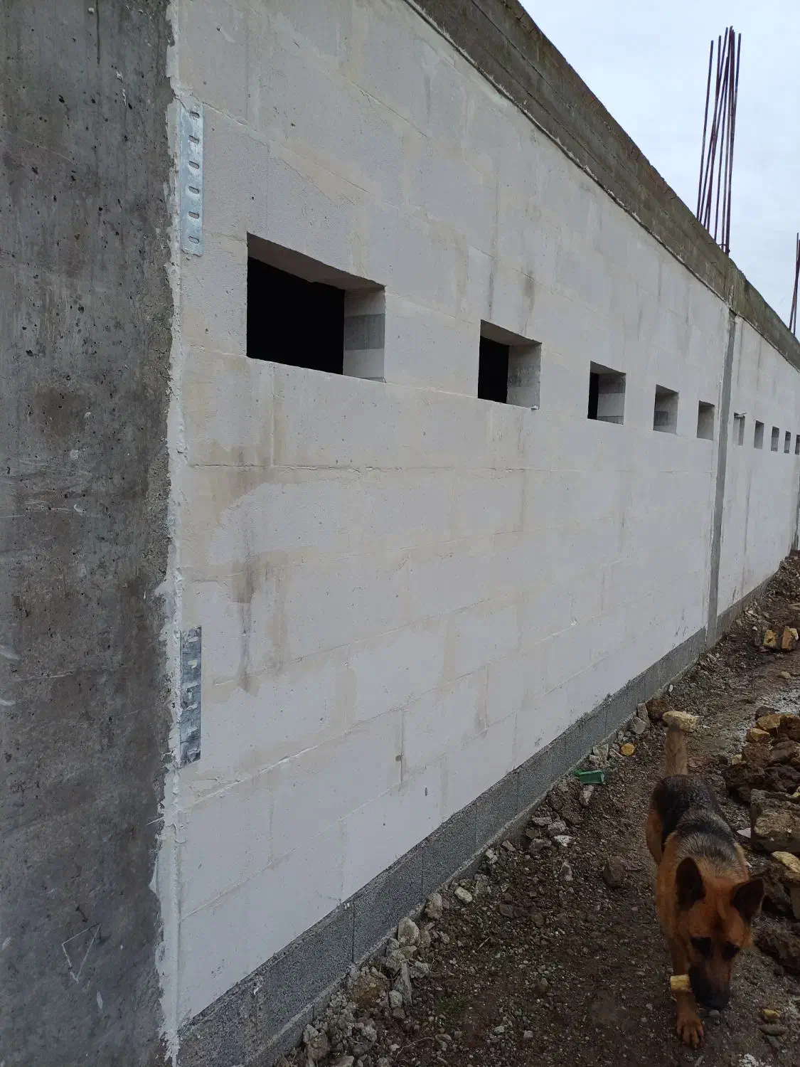 کارکر مرغداری گوشتی|استخدام صنعتی، فنی، مهندسی|رشت, یخسازی|دیوار