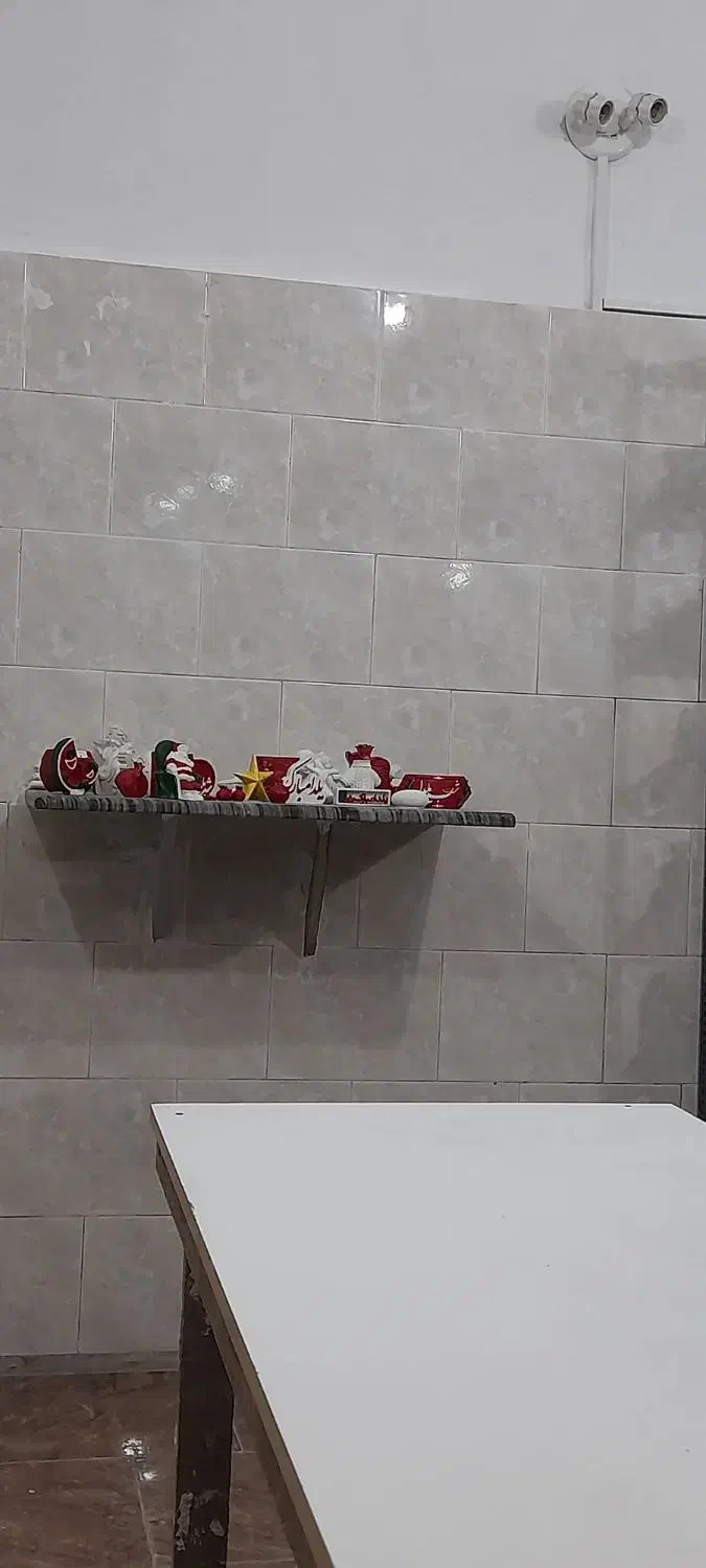 مجسمه های تزئینی|مجسمه، تندیس، ماکت|بندر انزلی, مسکن مهر|دیوار