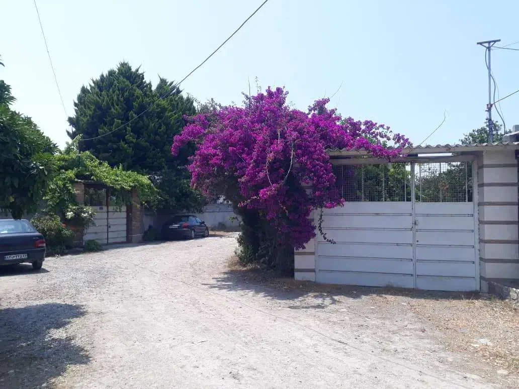 ۳۰۰۰ متر باغ میوه|فروش زمین و ملک کلنگی|تهران, زعفرانیه|دیوار