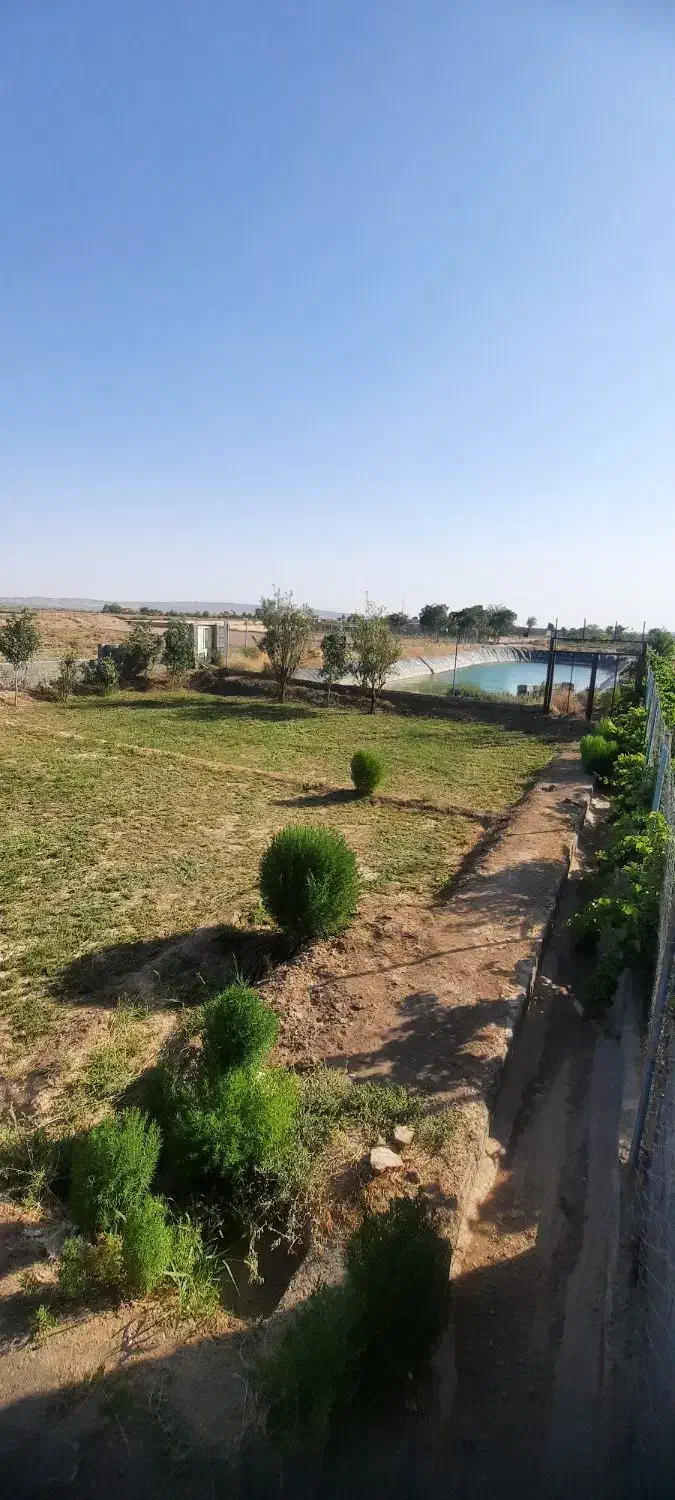 استخرذخیره آب کشاورزی وباغ پسته|فروش دفتر صنعتی، کشاورزی، تجاری|تربت‌حیدریه, پائین ولایت|دیوار