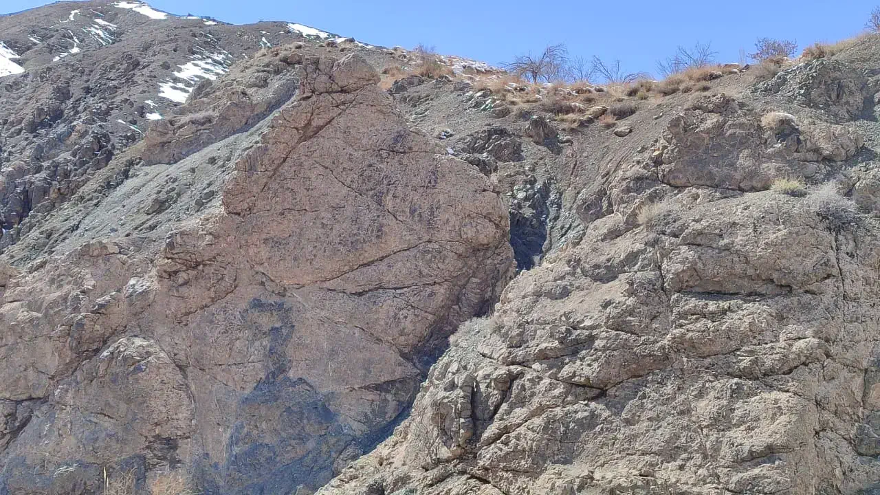 طبیعت گردی|فعالیت داوطلبانه|هشتگرد, تهران دشت|دیوار