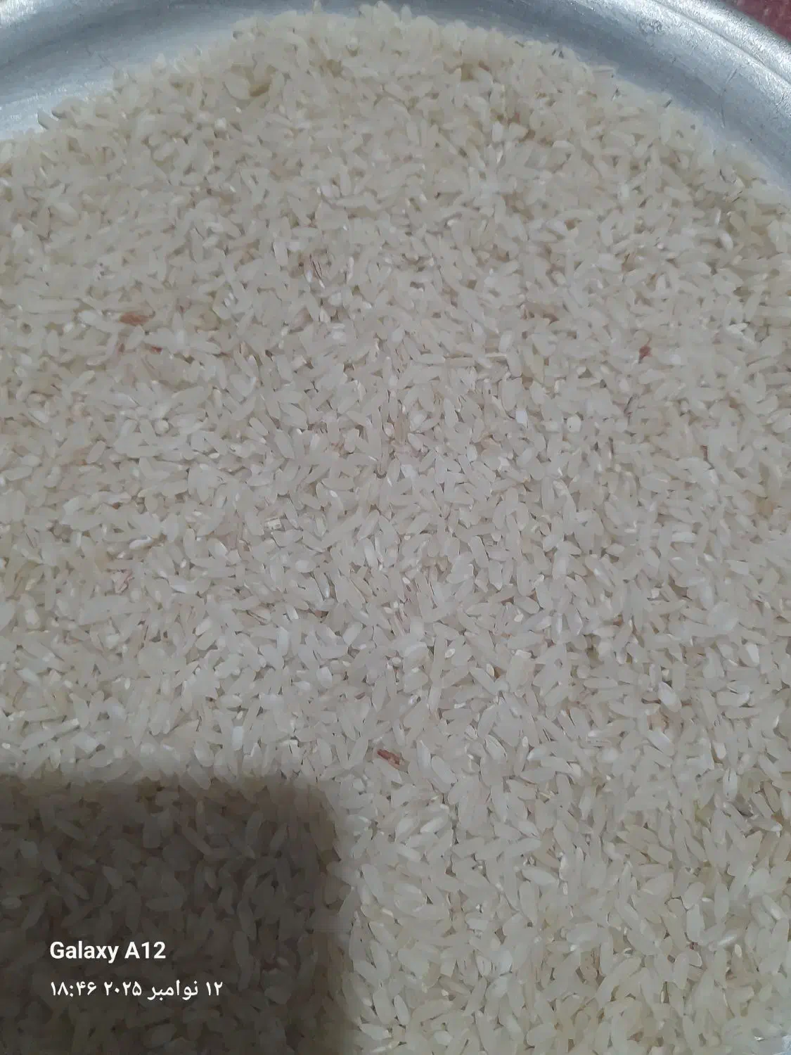 برنج محلی فرهاد آباد آب سیکان شرط پخت|خوردنی و آشامیدنی|دره شهر, |دیوار