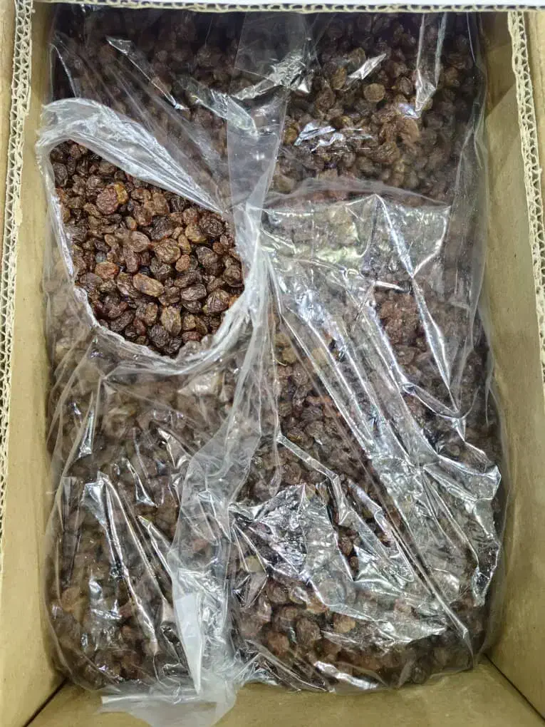 فروش کشمش طلایی صادراتی|خوردنی و آشامیدنی|اصفهان, امیرعرب|دیوار