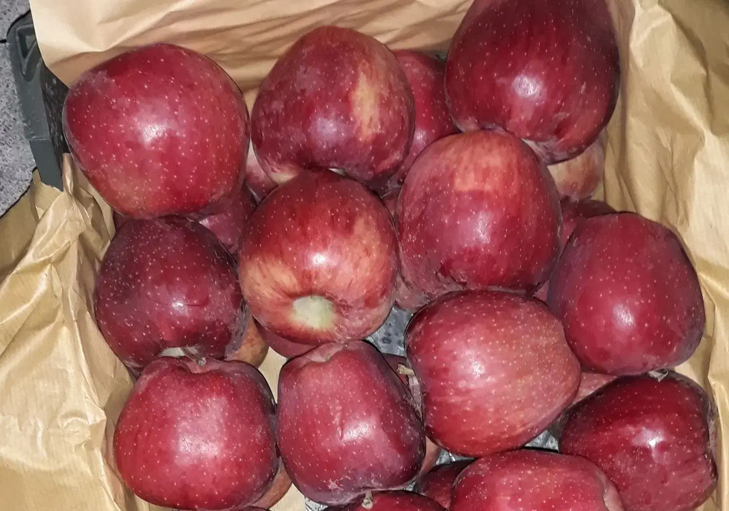 ۳ تن سیب قرمز و زرد|خوردنی و آشامیدنی|مشگین شهر, |دیوار