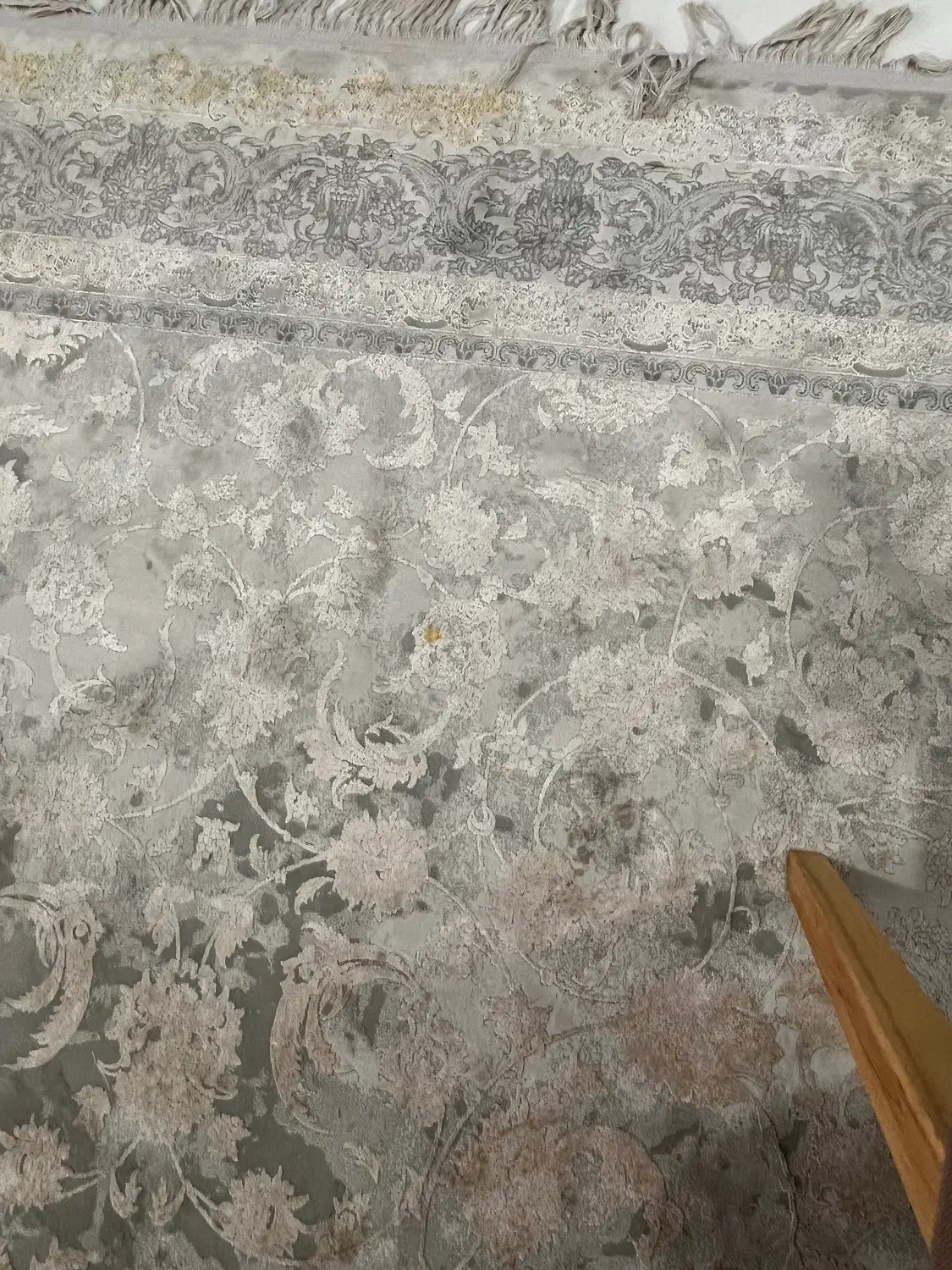 فرش ابریشم ۶ متری|فرش|سیرجان, |دیوار