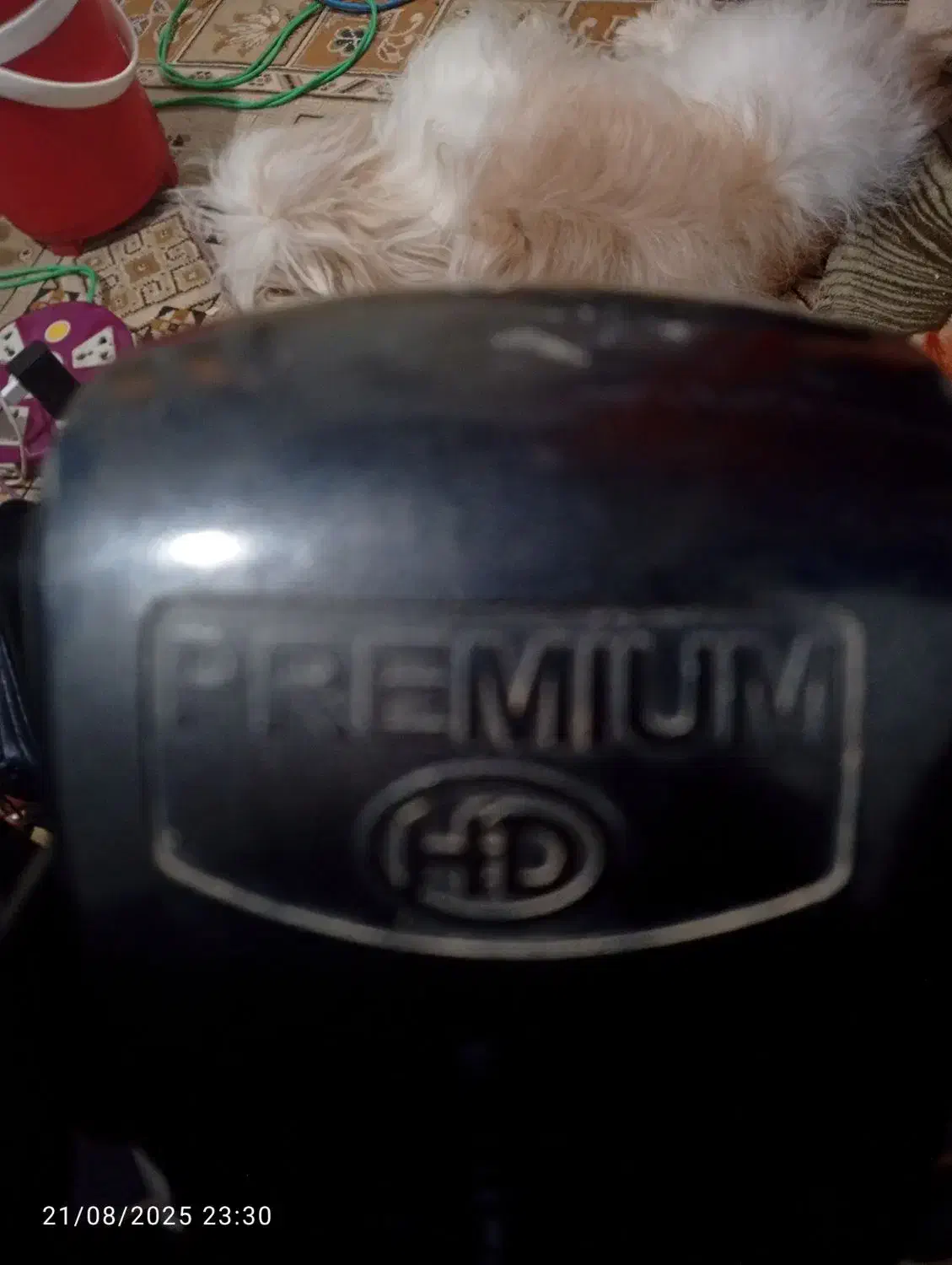 گیرنده دیجیتال گردون|صوتی و تصویری|آبادان, |دیوار