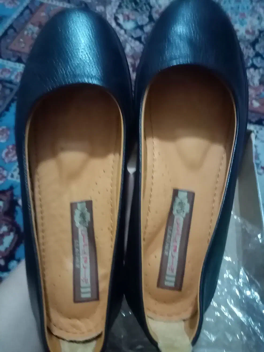 کفش|کیف، کفش، کمربند|سبزوار, مدرس|دیوار