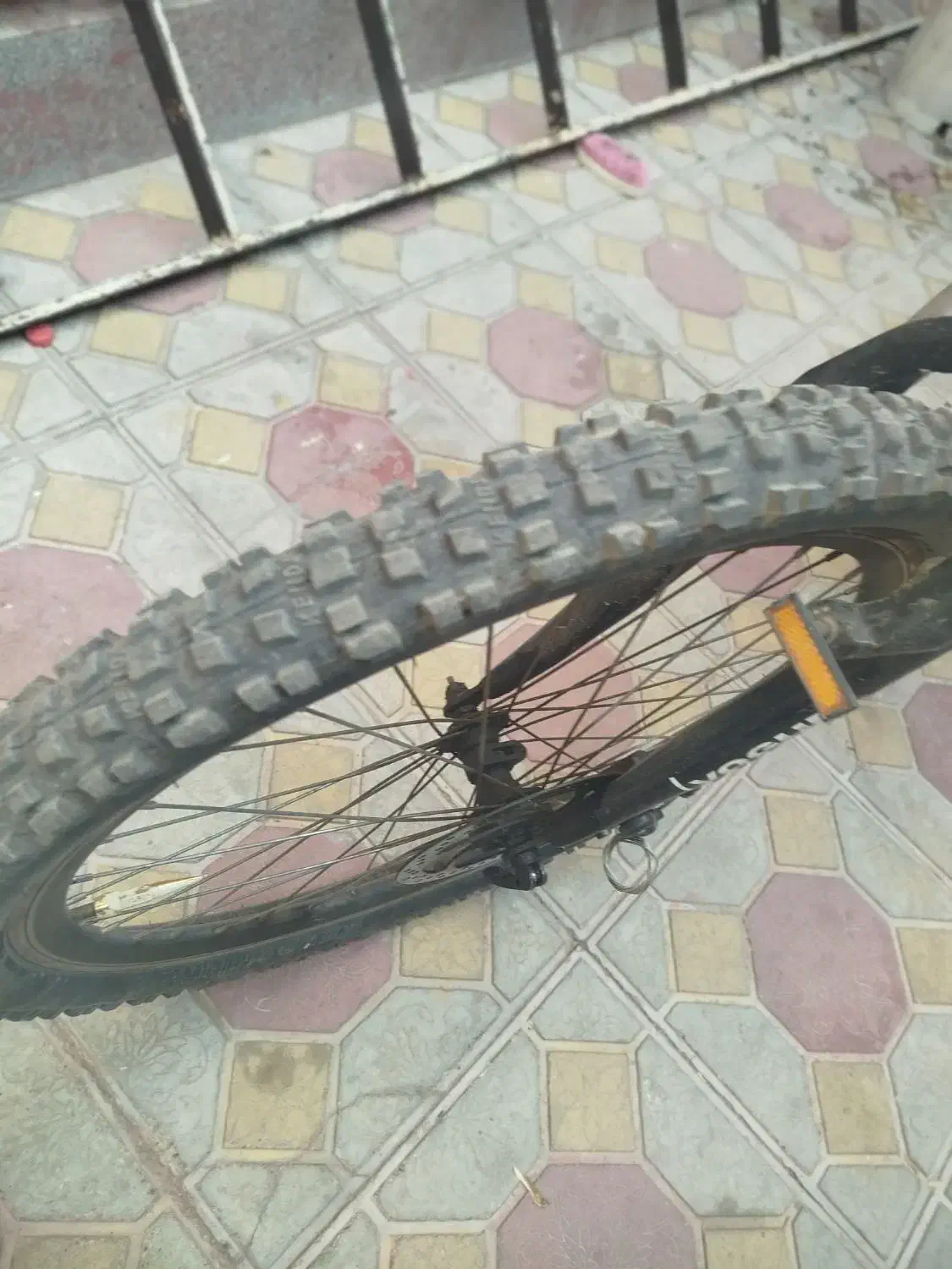 دوچرخه سایز 24|دوچرخه، اسکیت، اسکوتر|مراغه, |دیوار