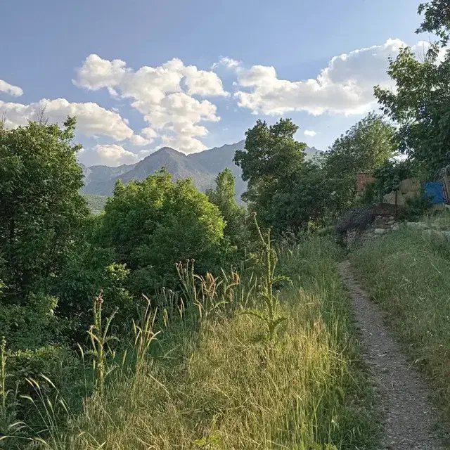 خانه اجاره ای دربست|اجارهٔ آپارتمان|مریوان, |دیوار