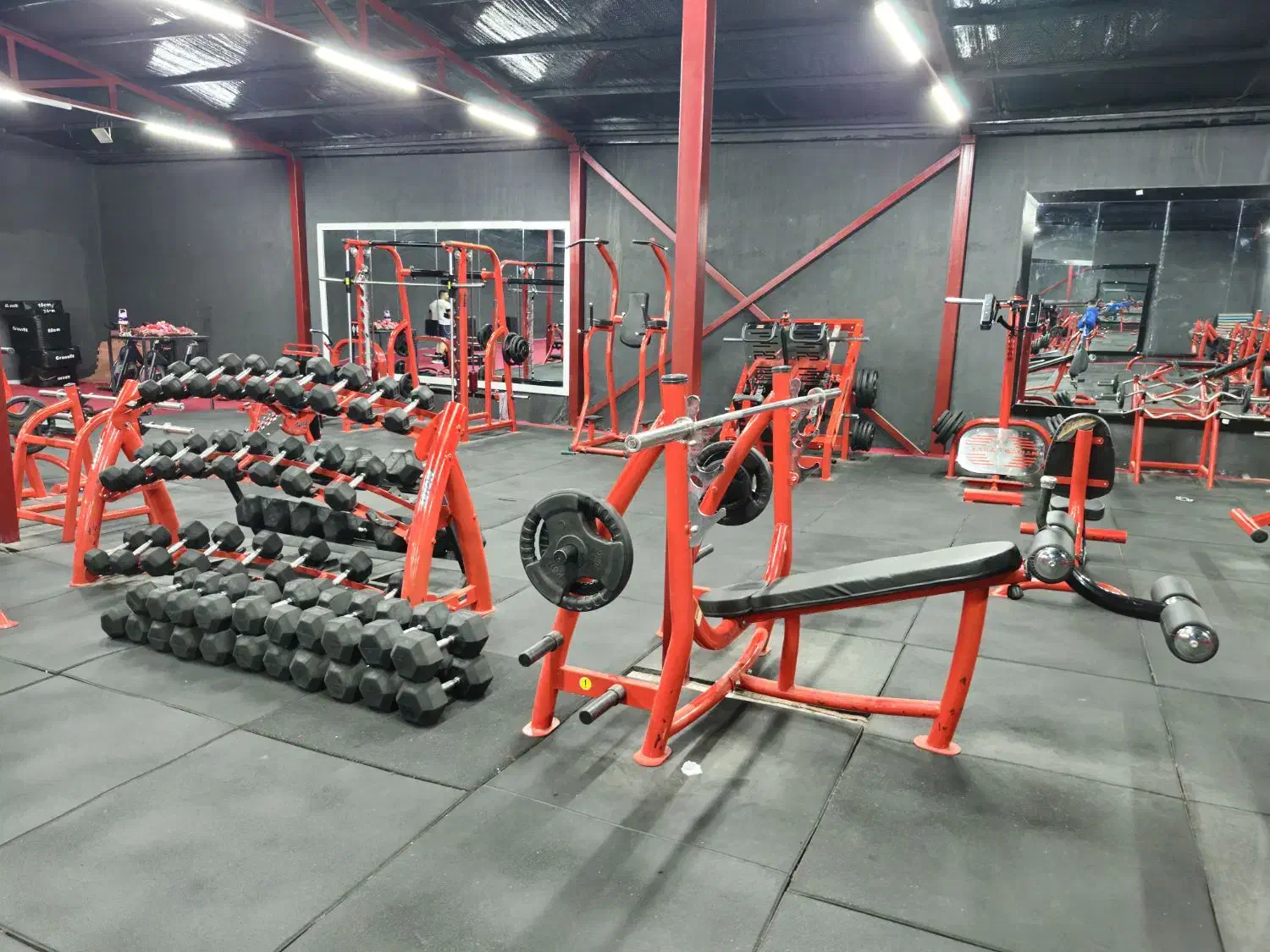 باشگاه بدنسازی|تجهیزات ورزشی|تایباد, |دیوار