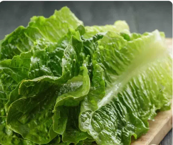 بذر سبزی جات خارجی|گل و گیاه طبیعی|شیراز, آزادگان|دیوار