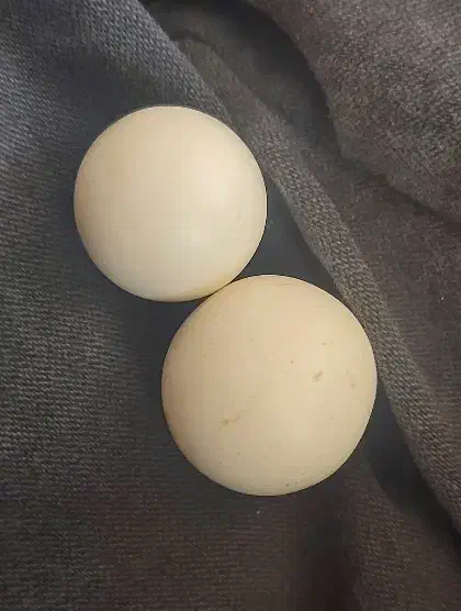 سنگ الماس اسیاب|جواهرات|ایلام, |دیوار