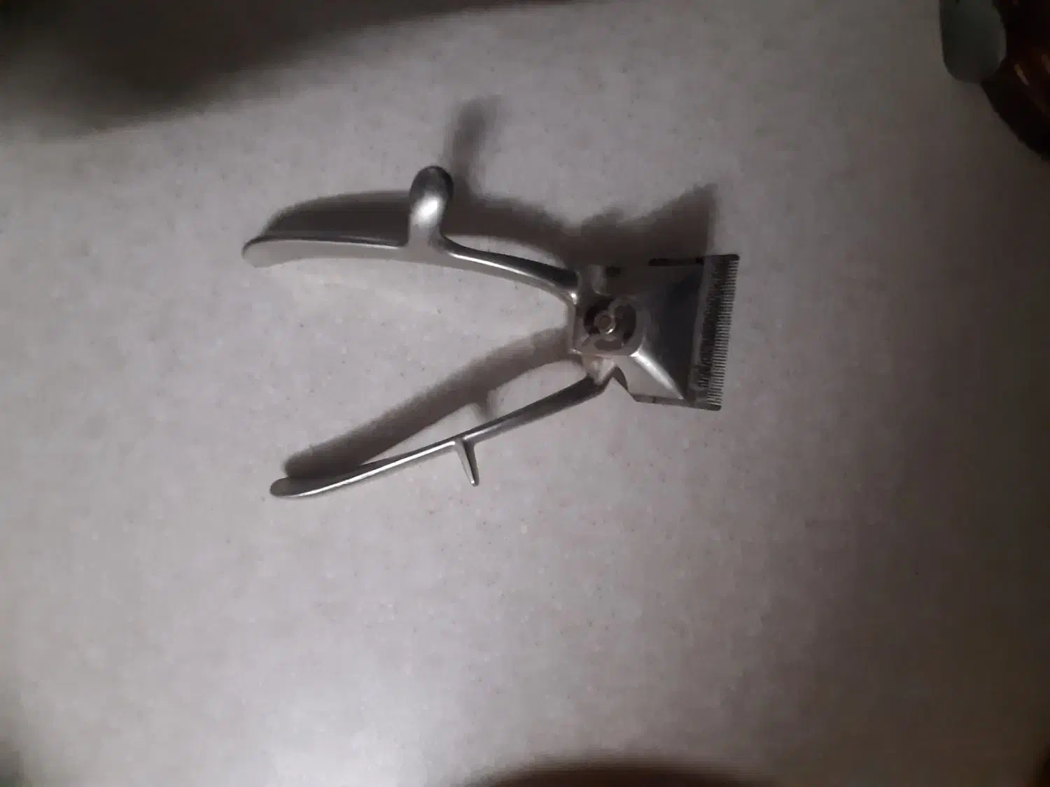 عتیقه|کلکسیون اشیاء عتیقه|کاشان, مصلی|دیوار