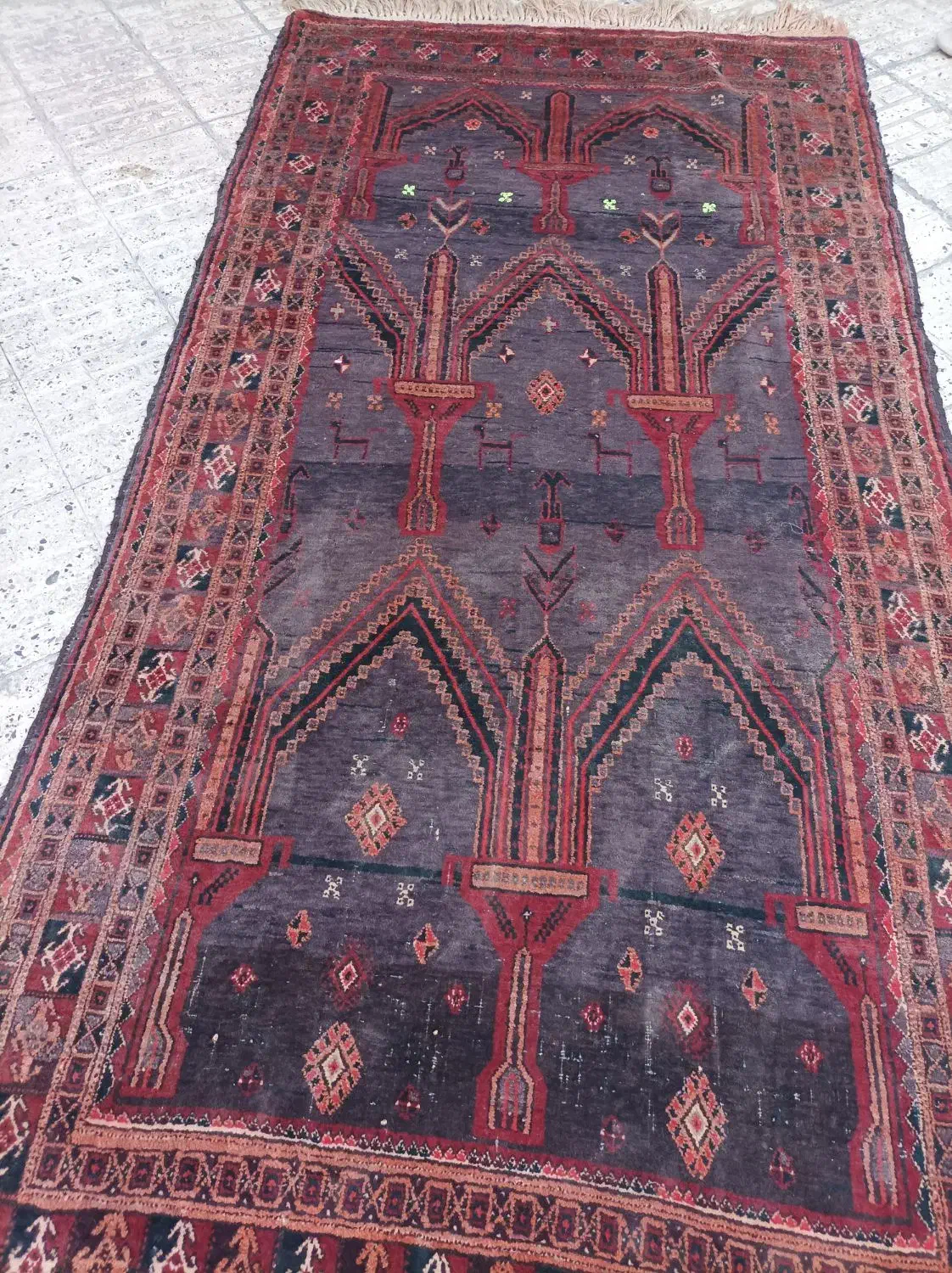 فرش دستباف|فرش|زاهدان, |دیوار