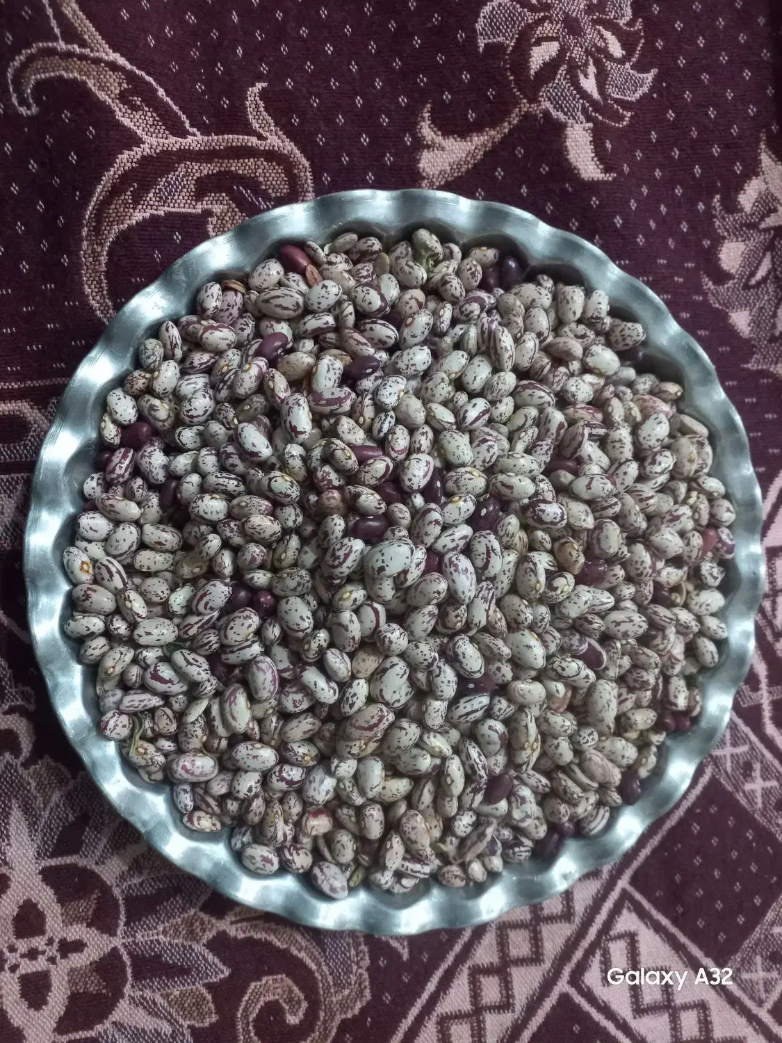 لوبیا چیتی|خوردنی و آشامیدنی|سراب, |دیوار