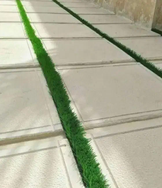 کاشی کاری سرامیک کاری  واش بتن|خدمات پیشه و مهارت|کتالم و سادات شهر, |دیوار