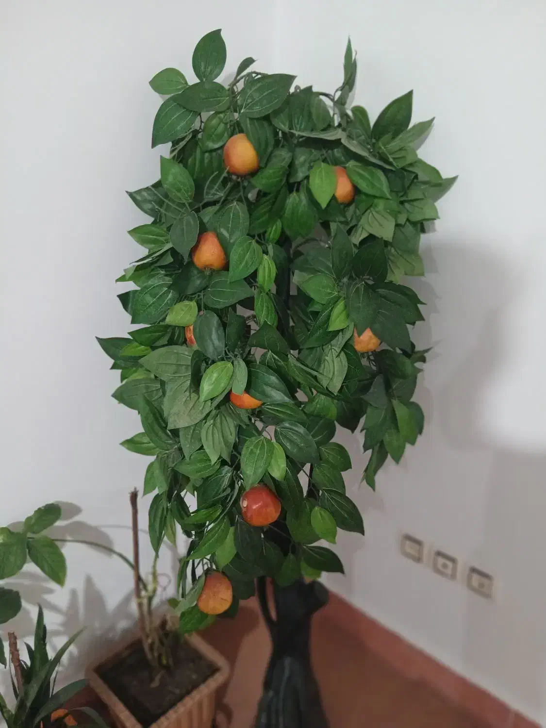 درخت مصنوعی|گل مصنوعی|گرمی, |دیوار