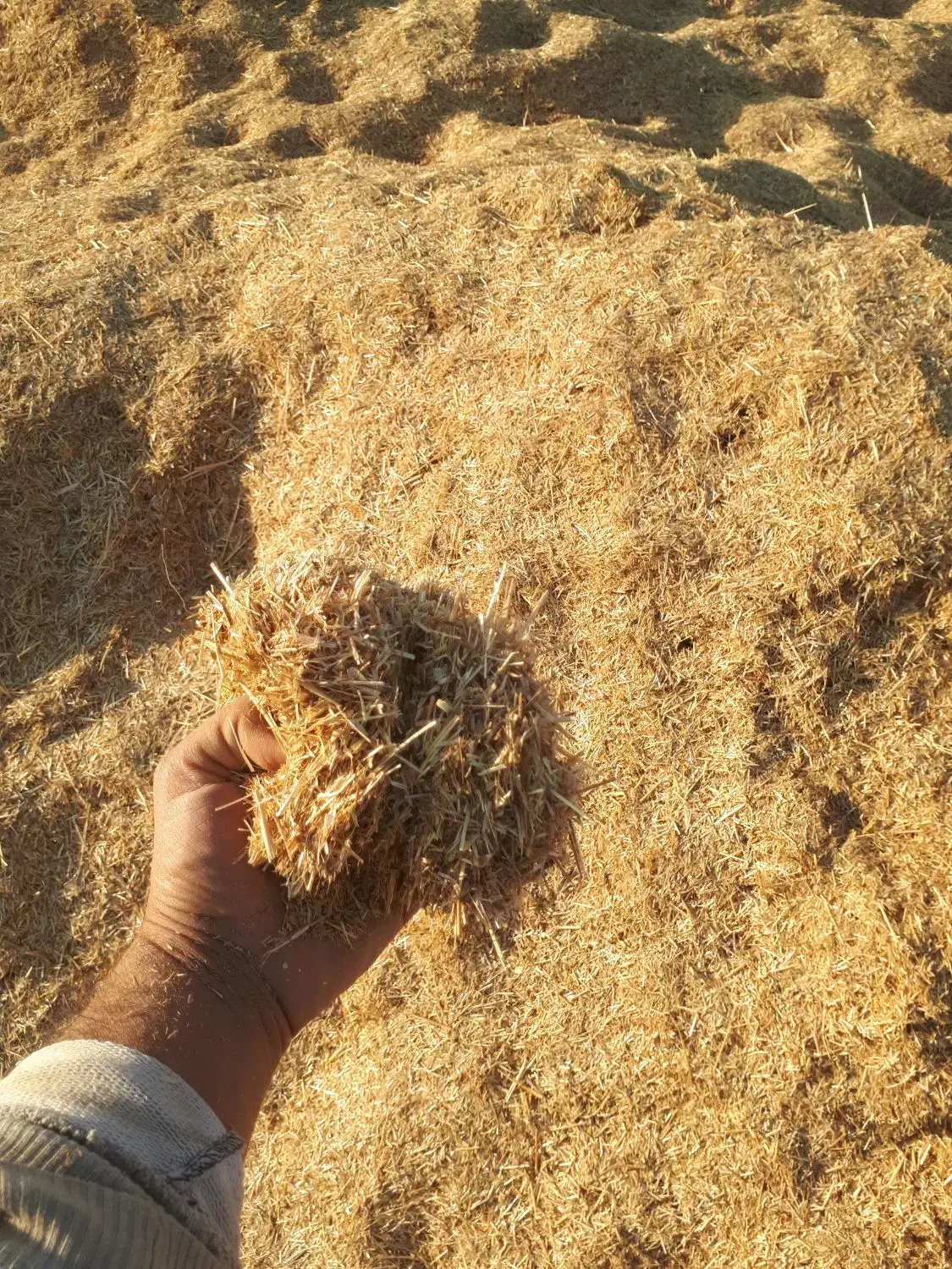 کاه|لوازم جانبی حیوانات|پیشخور, |دیوار